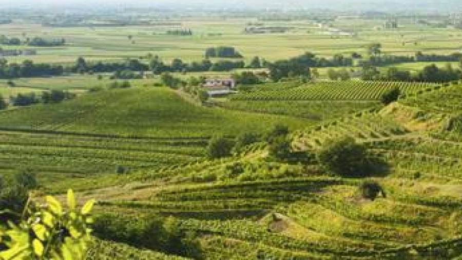 Questo mese Federvini consiglia: La strada dei vini del Collio, Veneto