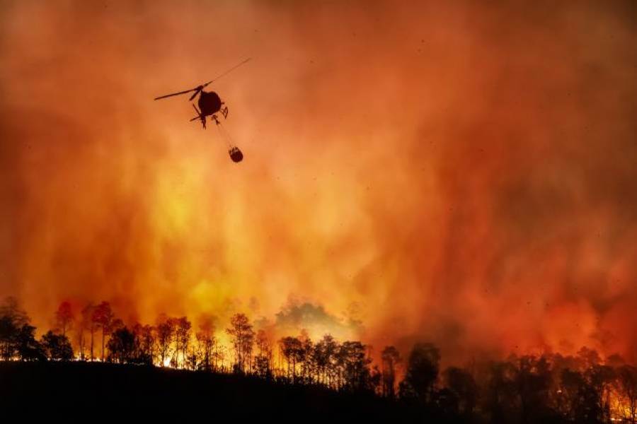 In California è già stagione di incendi: i rischi per i vigneti