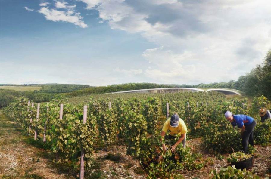 Anche il vino inglese punta sulle archi-star: Foster firma il progetto per una cantina nel Kent
