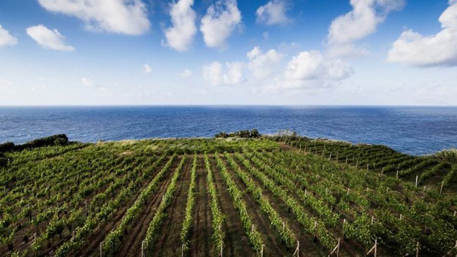 Mipaaf conferma incarico al Consorzio dei vini Malvasia delle Lipari DOC e IGP Salina