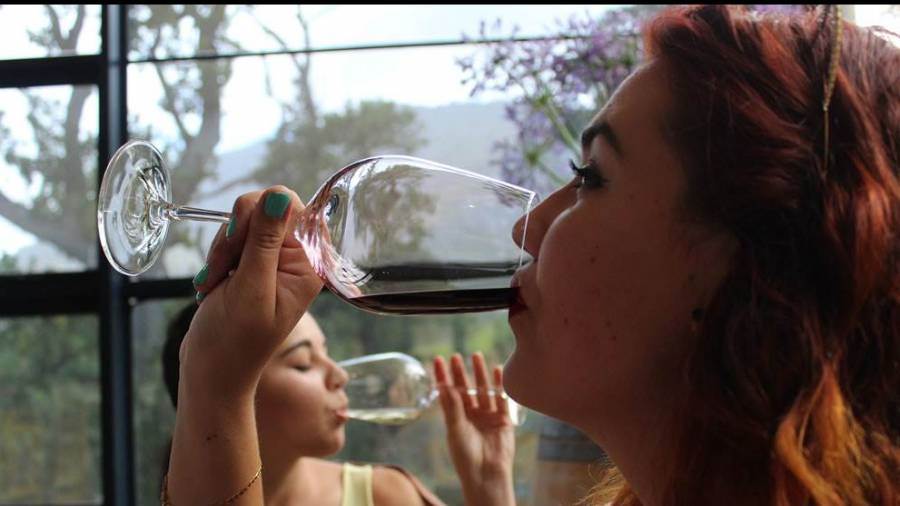 Declining consumption of wine is worrisome trend